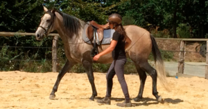 cavalière en travail à pied pour un débourrage